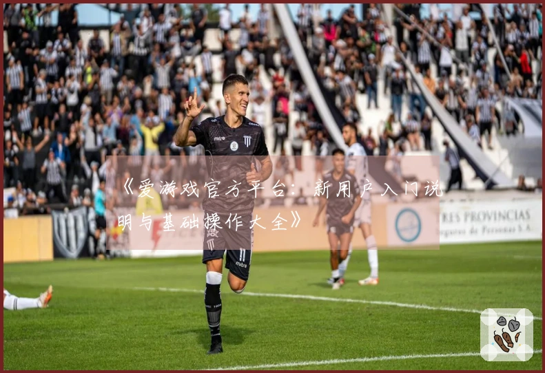 《爱游戏官方平台：新用户入门说明与基础操作大全》