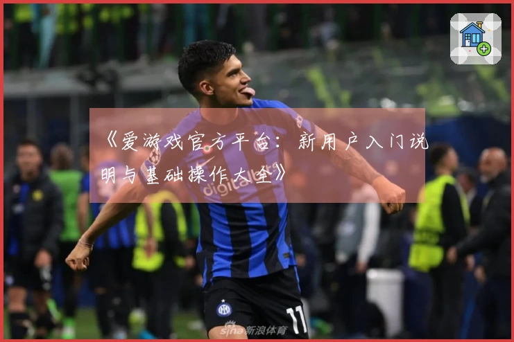 《爱游戏官方平台：新用户入门说明与基础操作大全》
