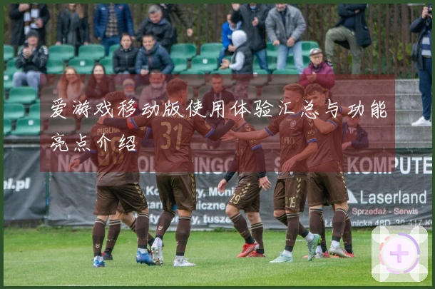 爱游戏移动版使用体验汇总与功能亮点介绍